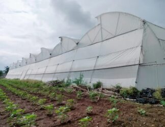 Revolutionizing Agriculture: The New Era of Smart, Sustainable & Profitable Farming