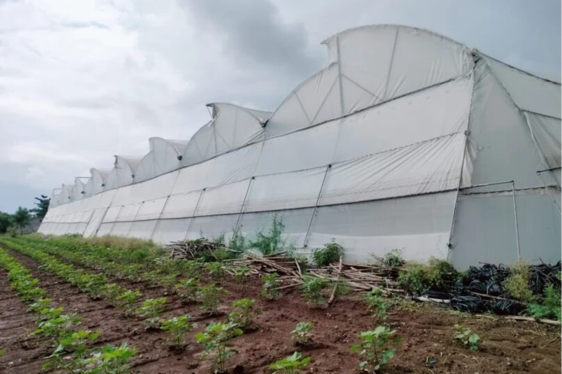 Revolutionizing Agriculture: The New Era of Smart, Sustainable & Profitable Farming