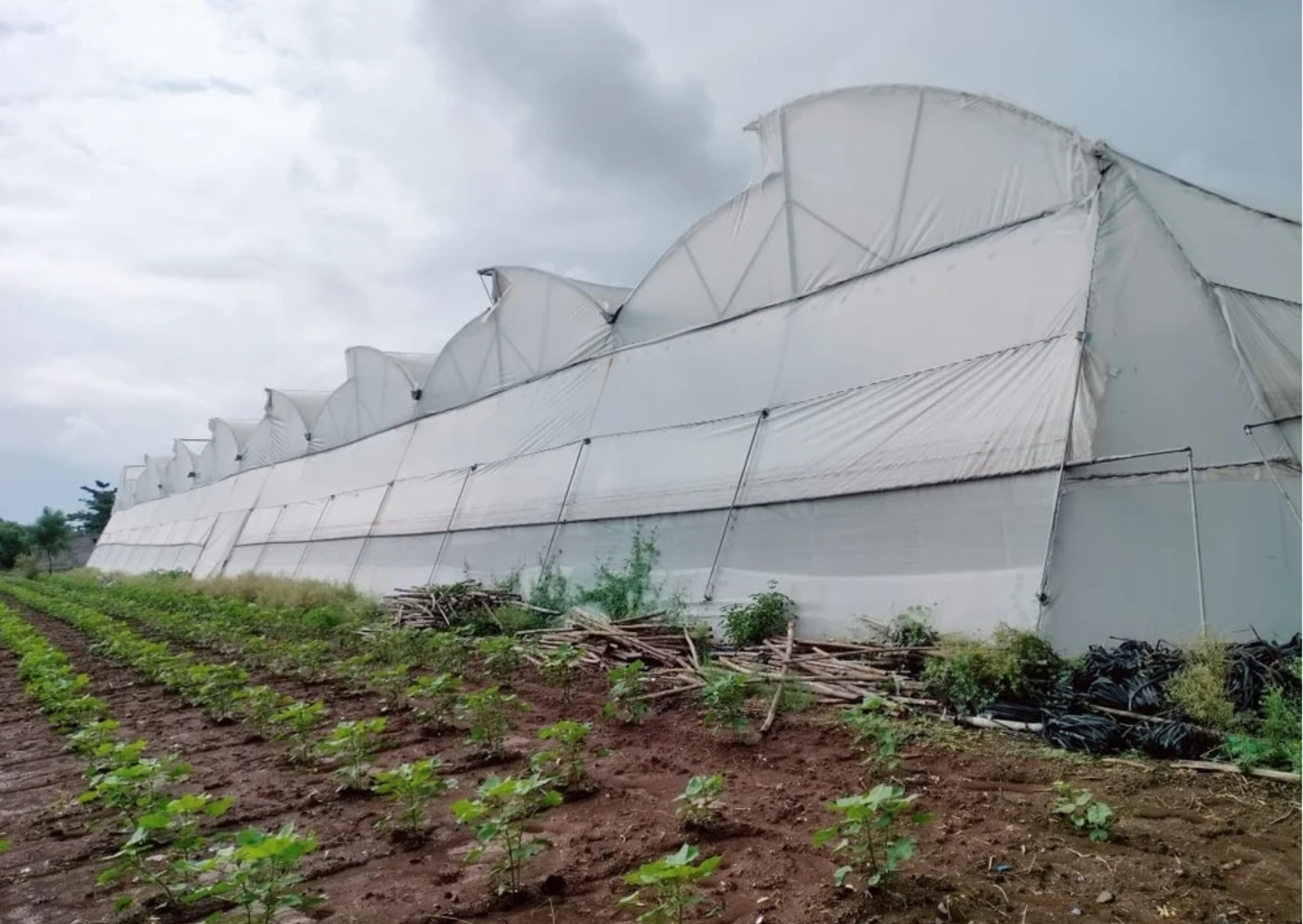 Revolutionizing Agriculture: The New Era of Smart, Sustainable & Profitable Farming