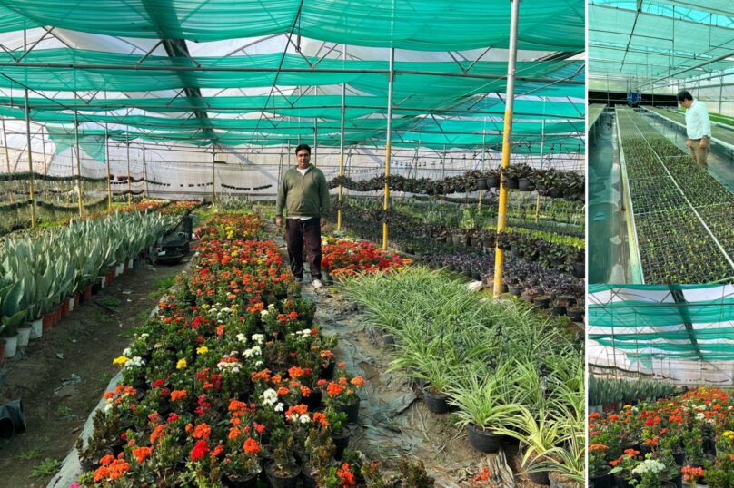 Net House, Shade House And Polyhouse farming