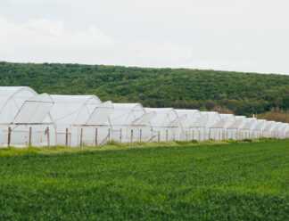 Cluster Farming in UP
