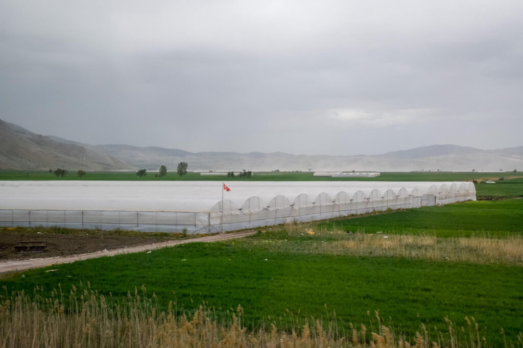 Capto Biotech Cluster Farming Scheme