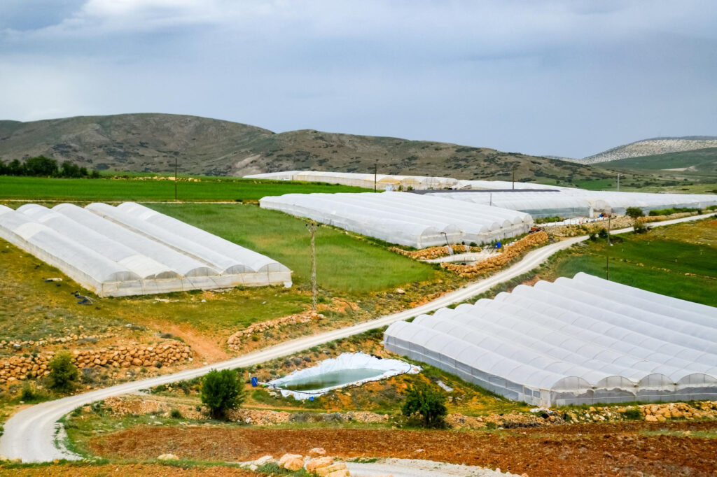 Polyhouse Farming and Cluster farming me Diff