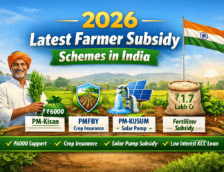 Best Subsidy Schemes in 2026