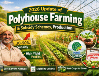 Polyhouse farming inquiry - 9811459488 Polyhouse farming inquiry - 9811459488