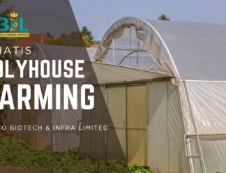 What Is Polyhouse Farming what is polyhouse farming?