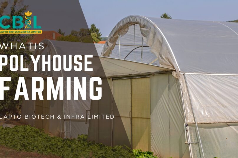 what is polyhouse farming?
