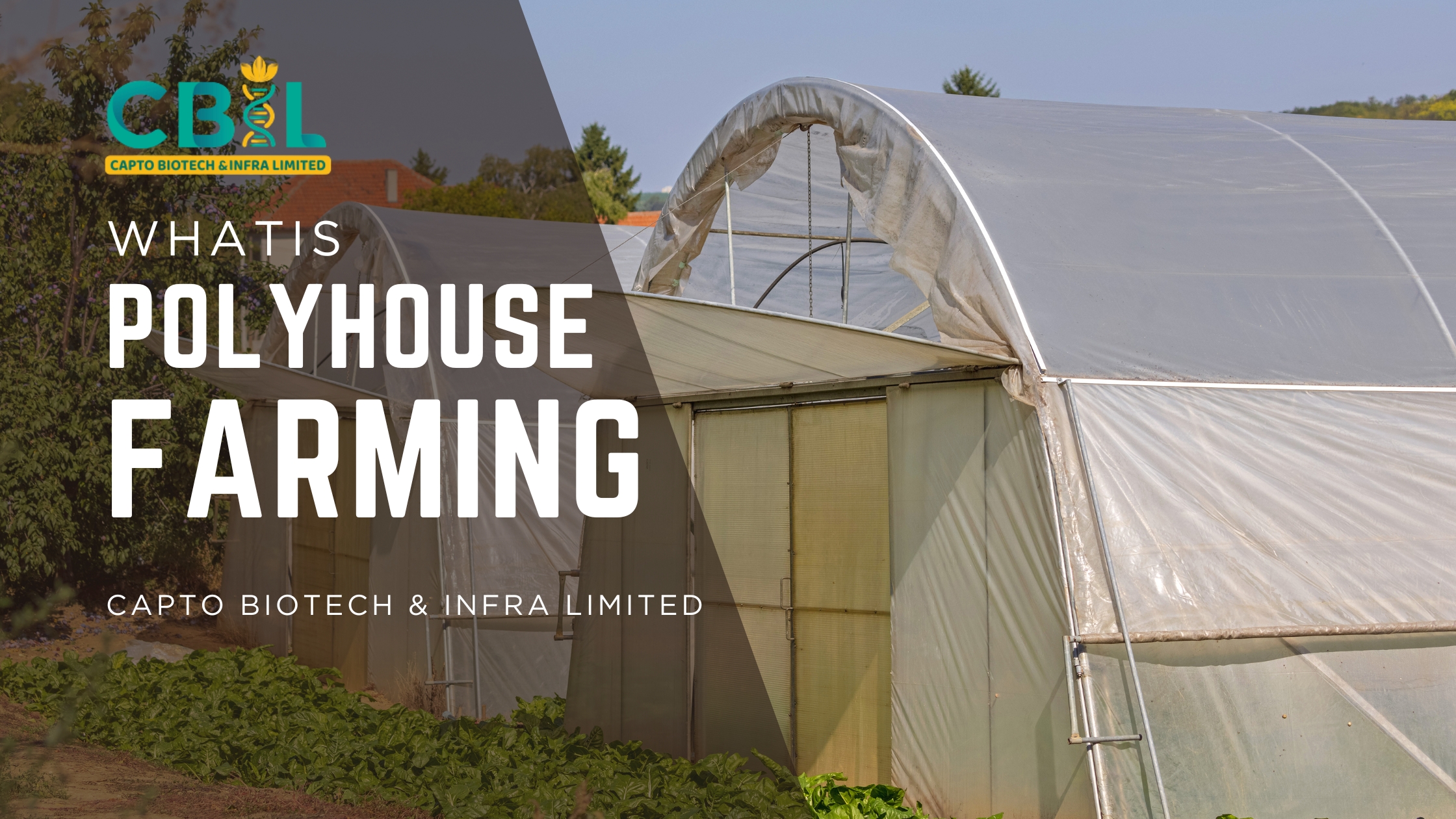 Principles of Polyhouse Farming – Capto Biotech