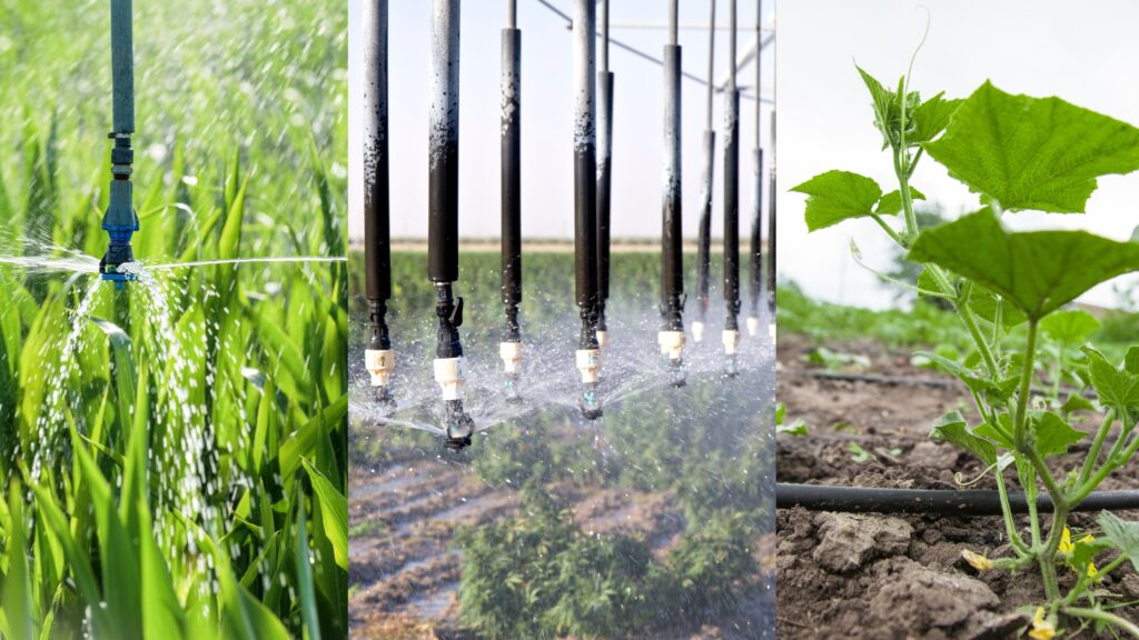 Drip Irrigation Subsidy