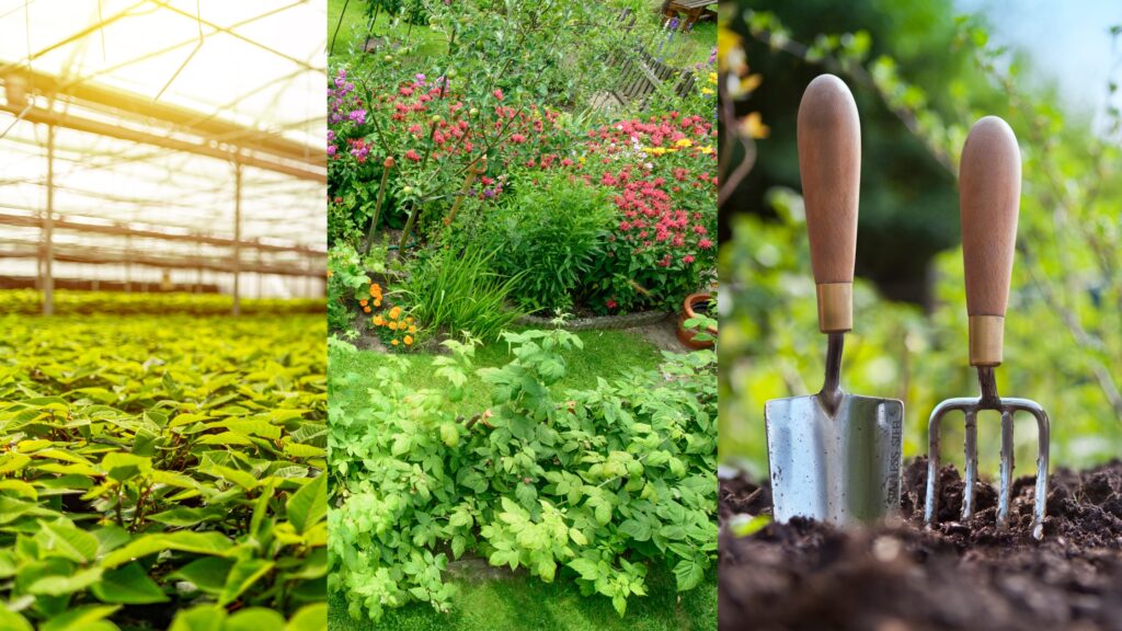 राष्ट्रीय बागवानी बोर्ड (NHB) भारत सरकार के कृषि एवं किसान कल्याण मंत्रालय